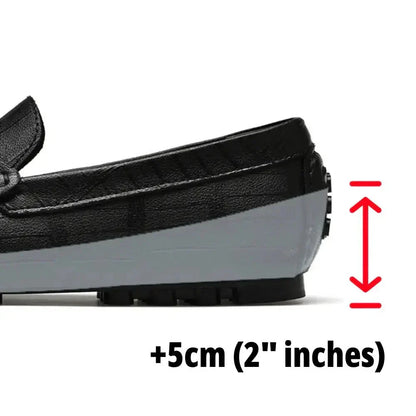 Model CEL-5