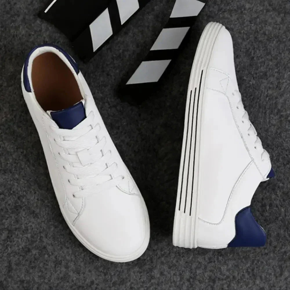 Model ELY-7