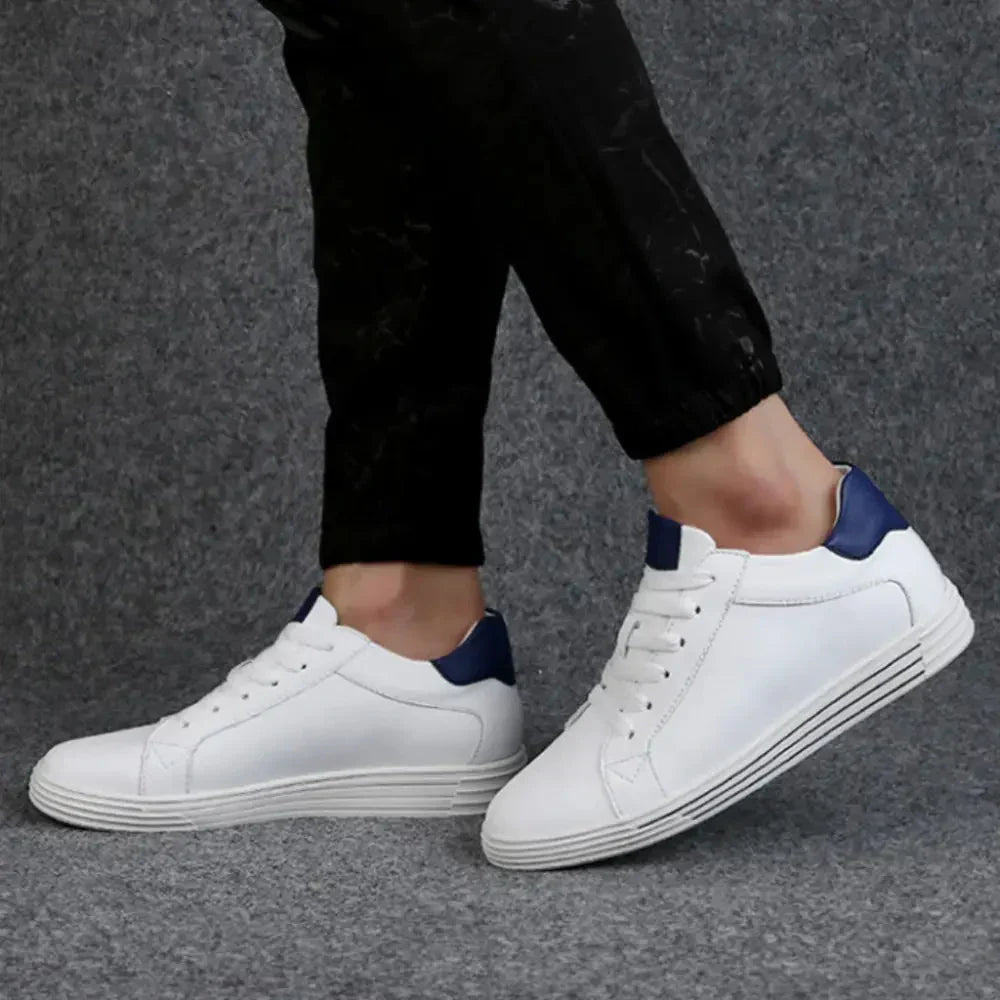 Model ELY-7