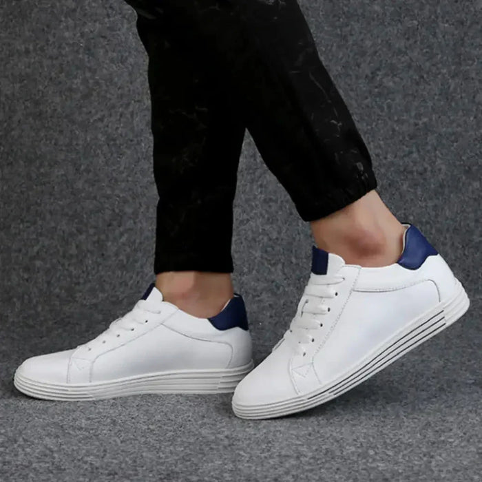 Model ELY-7